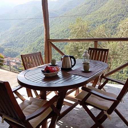 Agriturismo U' Spigu Nonna Annetta Nasino Екстериор снимка