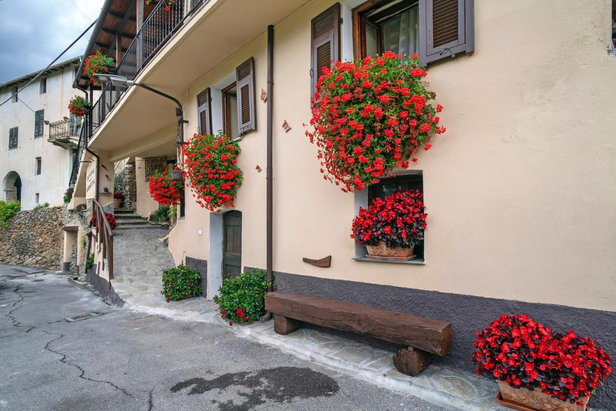 Agriturismo U' Spigu Nonna Annetta Nasino Екстериор снимка
