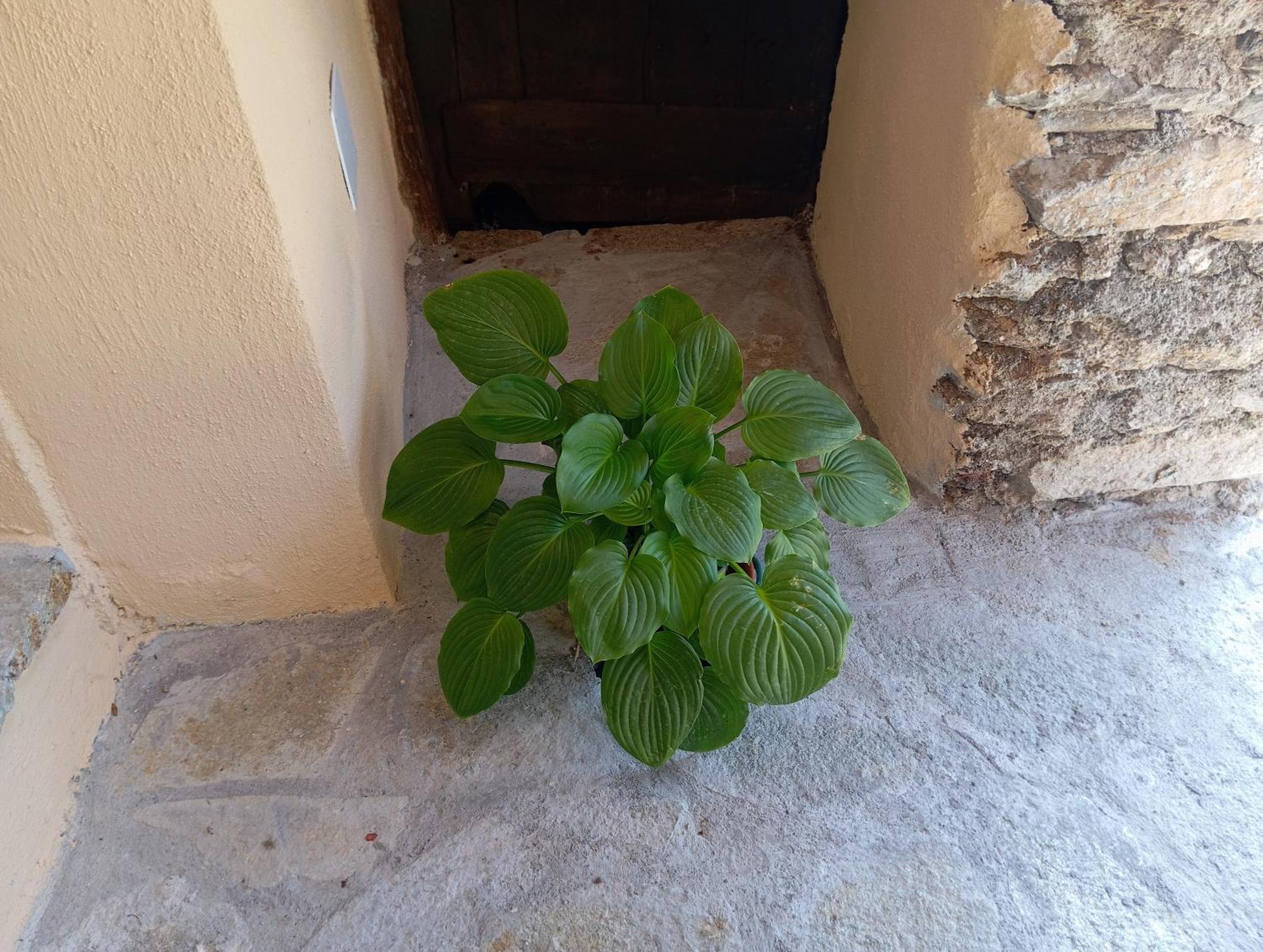 Agriturismo U' Spigu Nonna Annetta Nasino Екстериор снимка